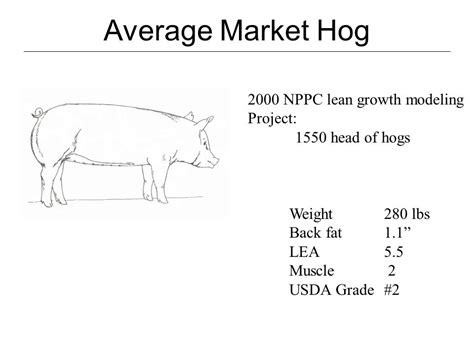 usda lean hog quality specifications